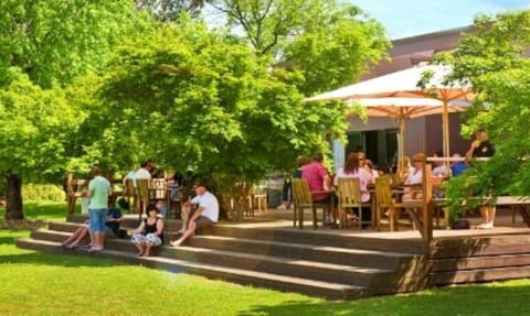 People, BBQ facilities, Garden, Balcony/Terrace, group of guests
