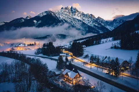 HIŠA KOSOBRIN Apartment in Friuli-Venezia Giulia