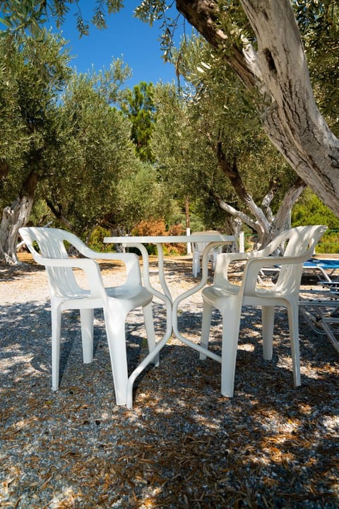 Gregory Studios Apartment in Samos, Greece