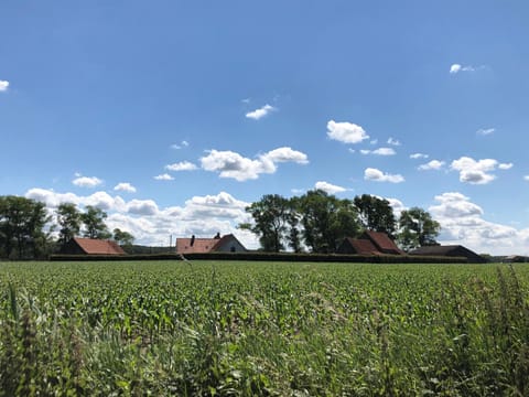 Neighbourhood, Natural landscape