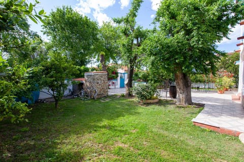 Day, Garden, Garden view