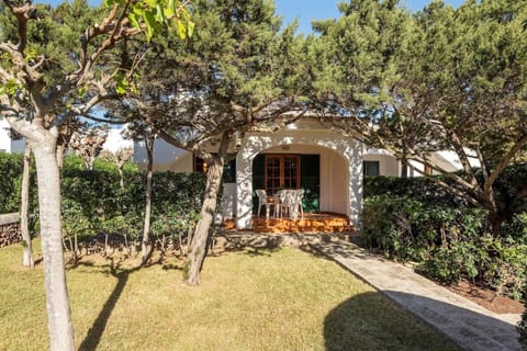 Patio, Garden, Garden view