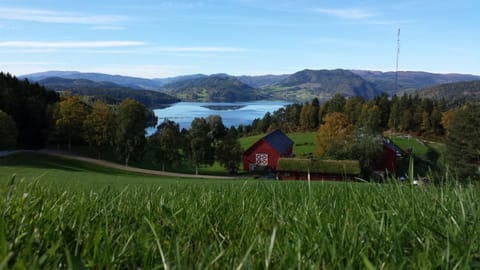 Property view