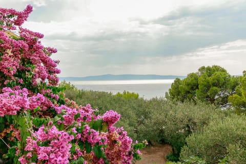 Villa Ševelj Apartment in Tučepi