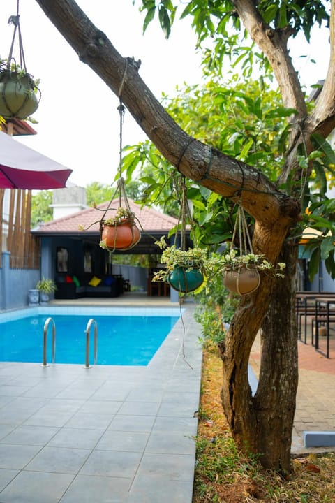 Patio, Day, Garden, Garden view