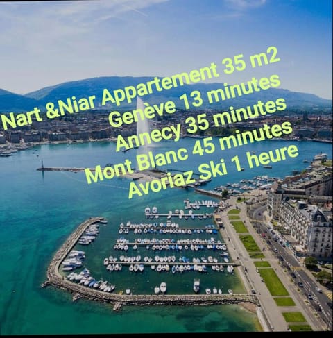 Nart & Niar Apartment in Annemasse