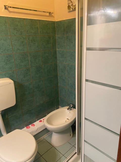 Shower, Toilet, Bathroom, bidet