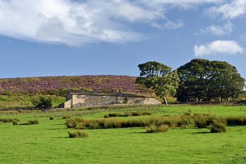 Property building, Natural landscape