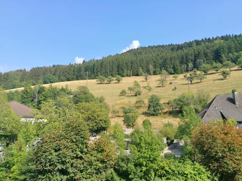 Natural landscape, Mountain view