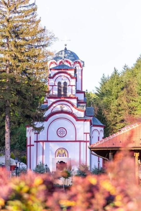 Valja Mare Moma Vacation rental in Serbia