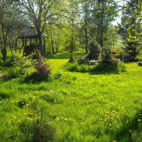 Natural landscape, Garden