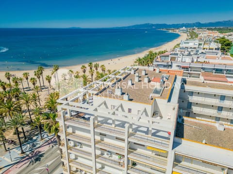 Property building, Bird's eye view