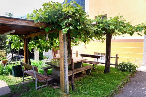 Patio, Garden