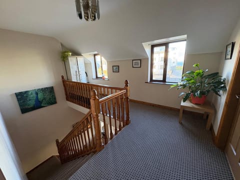 Feeney's Audubon Lodge Bed and Breakfast in Galway