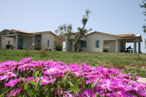 Agriturismo podere 678 Apartment in Tuscany