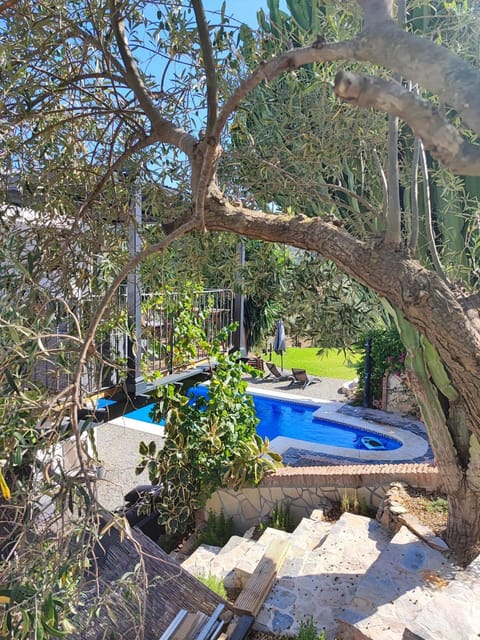 Garden, Garden view, Swimming pool