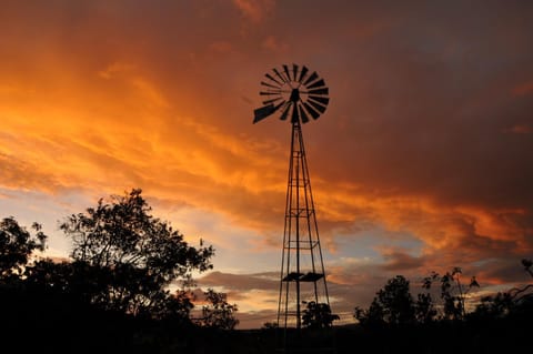 Natural landscape, Sunset