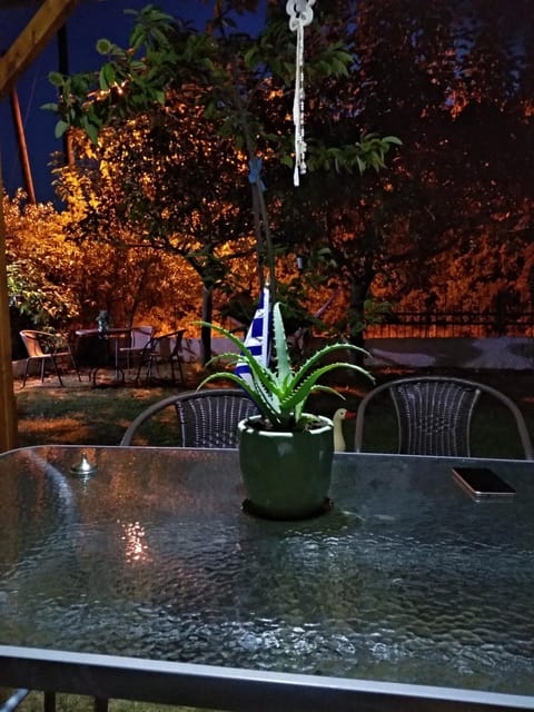 Night