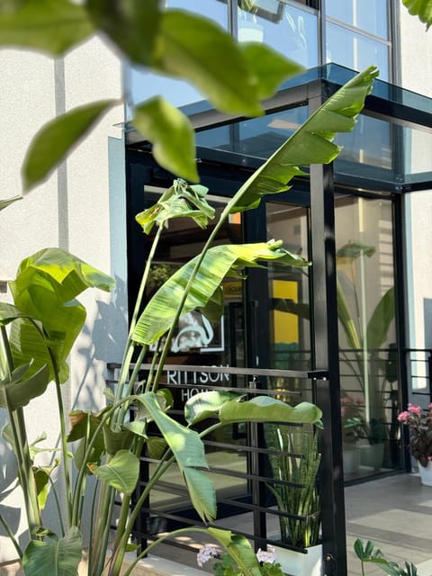 Ritson Hotel Hotel in Vlorë
