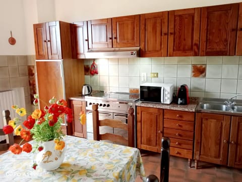 Kitchen or kitchenette, pet friendly