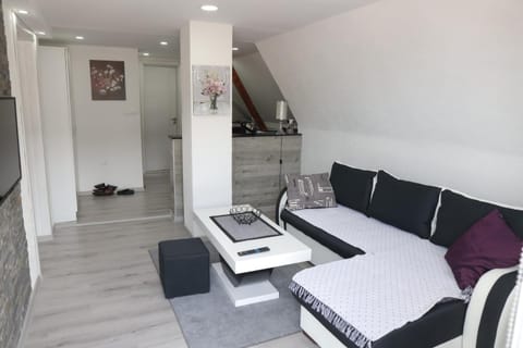 Apartmani Zlatarski DAR Apartment in Zlatibor District, Serbia