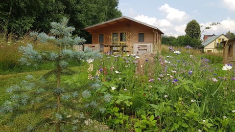 Property building, Natural landscape