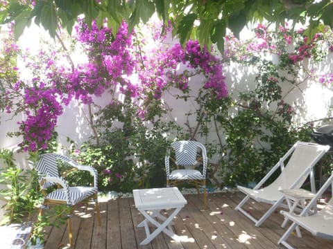 Patio, BBQ facilities, Garden, sunbed