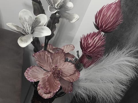 Divcibare As apartmani Apartment in Zlatibor District, Serbia