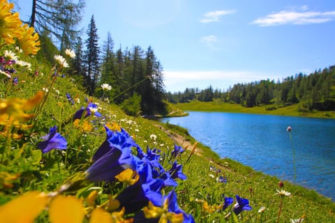 Natural landscape, Hiking