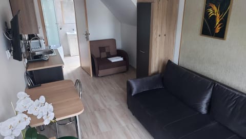 Pokoje gościnne Silver Apartment in West Pomeranian Voivodeship, Poland