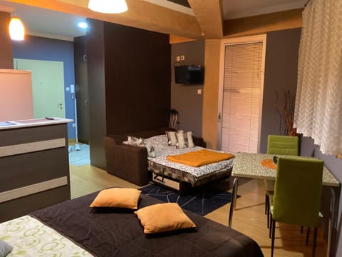 Apartman Aischa Apartment in Zlatibor District, Serbia