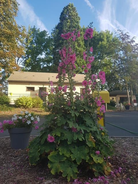 Camping le Rochat Belle Isle Campground/
RV Resort in Centre-Val de Loire