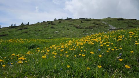 Haus Hasslacher Bed and Breakfast in Carinthia, Austria