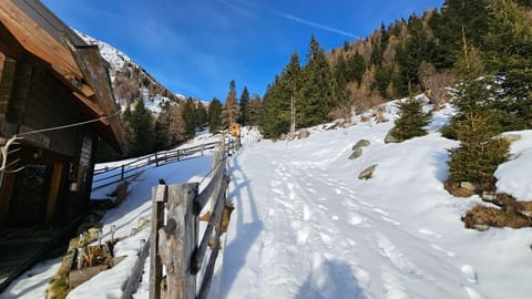 Haus Hasslacher Bed and Breakfast in Carinthia, Austria