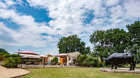 MAS PAPABIOU House in Saint-Remy-de-Provence