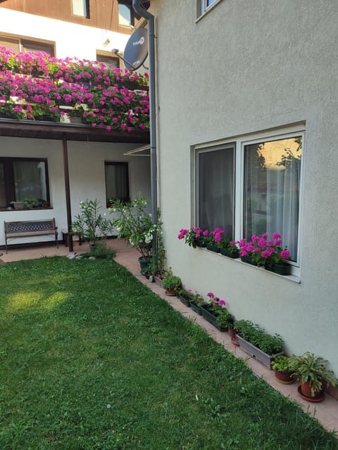 Apartman MITIĆ Apartment in Serbia