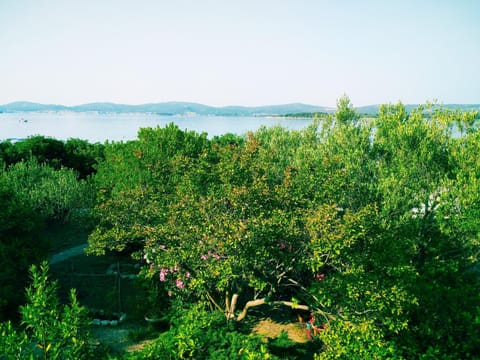 Day, Natural landscape, Garden, Garden view, Sea view