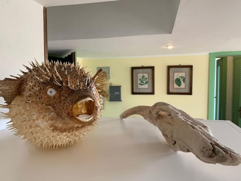 Seaside Apartment in Bordighera