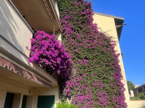 Seaside Apartment in Bordighera