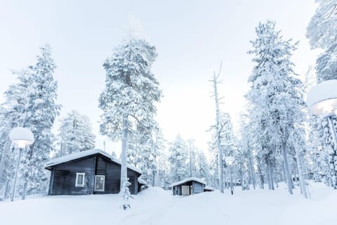 Day, Natural landscape, Winter