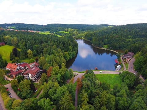 Property building, Natural landscape