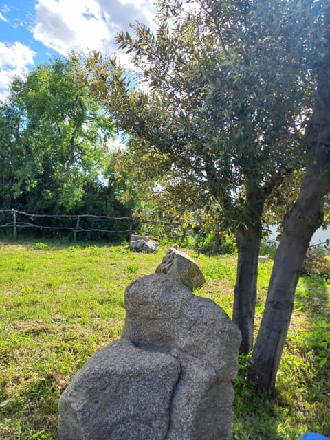 Agriturismo b&b Mares e Montes de Marrante Farm Stay in Sardinia
