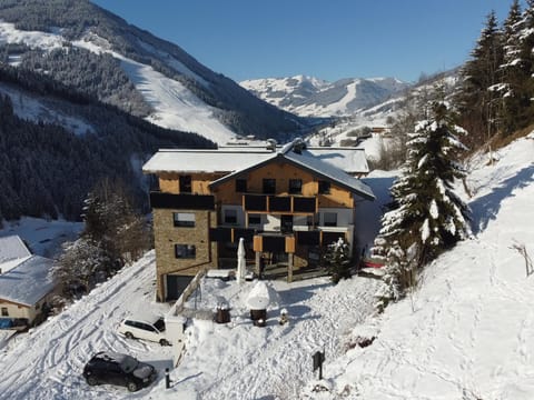 Property building, Natural landscape, Winter, Mountain view