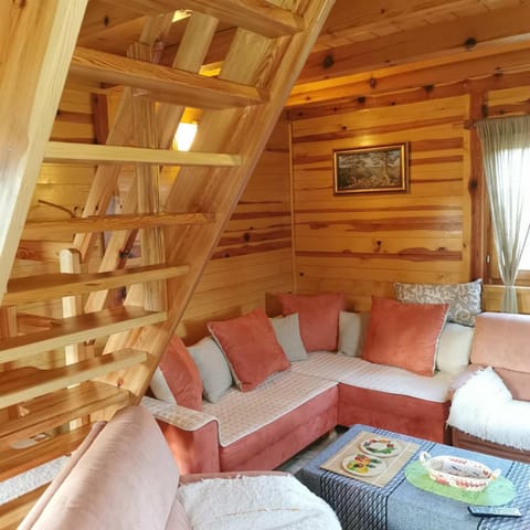 Brvnara Tara House in Zlatibor District, Serbia