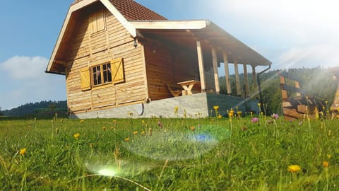 Brvnara Tara House in Zlatibor District, Serbia