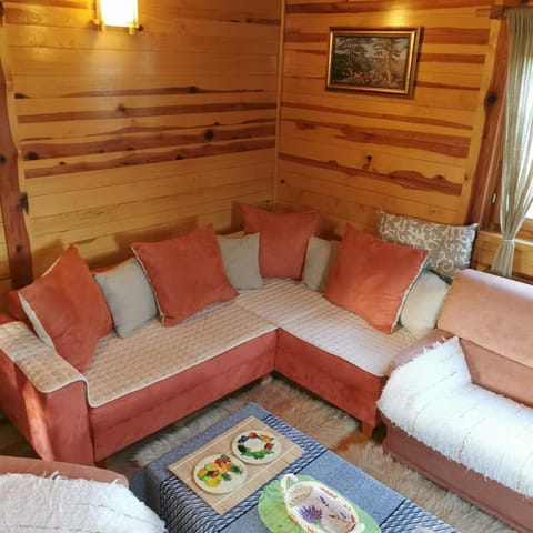 Brvnara Tara House in Zlatibor District, Serbia