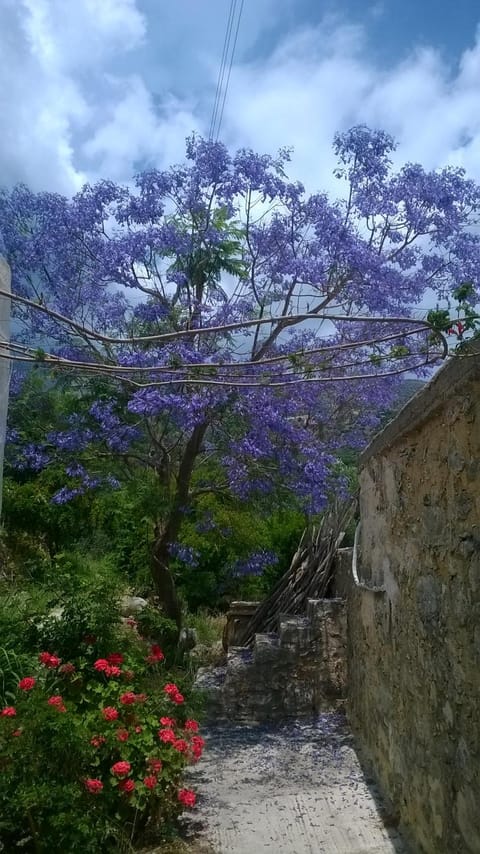 Comfortable Family House nearby Mirtos House in Lasithi