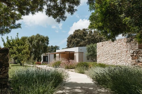 Spring, Natural landscape, Garden, Garden view