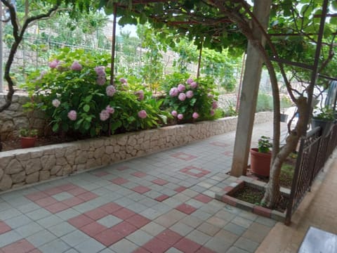 Patio, Garden, Balcony/Terrace, Garden view