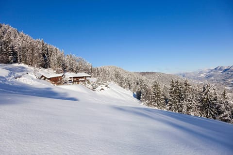 Ferienwohnungen Gerstreitlehen Apartment in Schönau am Königssee